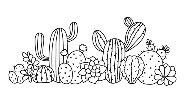 Kaktusz és zamatos virágos határ előfizetői, kaktusz összetétel izolált tételek fehér alapon, fekete-fehér vonal botanikai dekoratív elem - vektor illusztráció — Stock Vector