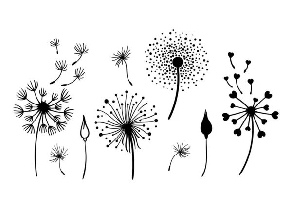 Maskros svart och vitt clipart bunt, elegant sommar vilda blommor set, botaniska blommor isolerade element, äng blommor vektor illustration — Stock vektor