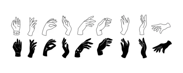 Ludzka elegancka linia dłoni i sylwetka pojedynczy pakiet cliparts, zbiór gestów dłoni, urocze dłonie kobiety - elementy projektu, czarno-biały wektor ilustracji zestaw — Wektor stockowy
