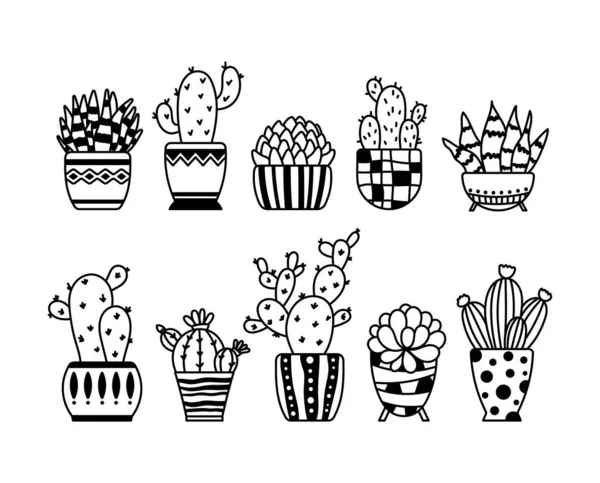 Kaktus och saftig isolerad clipart bunt, krukväxter svart och vitt blommor dekorativa element, kontur krukväxter botaniska designföremål, boho hem blomma i kruka - vektor illustration Royaltyfria illustrationer