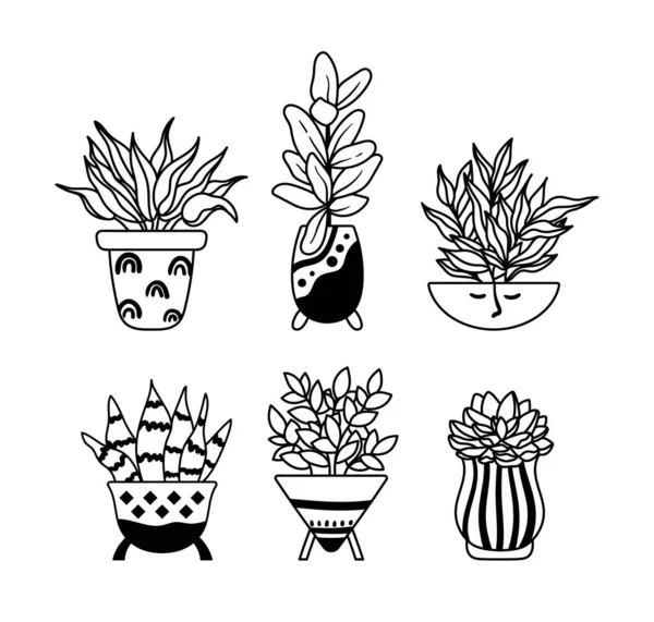 Saftiga, fiktiva hem växter, krukväxter krukväxter isolerade clipart bunt, svart och vitt blommigt dekorativa element, kontur växtbotaniska objekt, söt blomma i kruka - vektor illustration Vektorgrafik