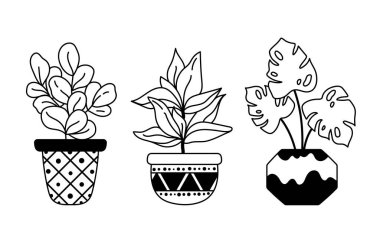 Monstera, fig tree home plants, potted boho houseplants isolated clipart bundle, black and white floral decorative elements, outline plant botanical items, cute flower in pot - vector illustration clipart