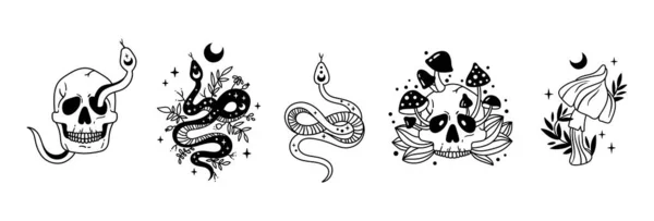 Mystický halloween svazek - nebeský květinový had, lebka s houbami, měsíc a hvězdy izolované klipy, strašidelné esoterické věci, had, kostra, květiny černobílé vektorové ilustrace — Stockový vektor