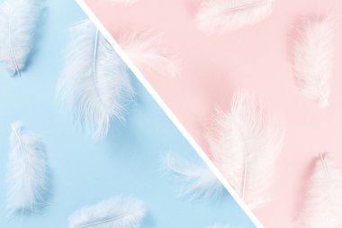 Trendy pastel renkler. Pastel arka plan yumuşak, kabarık beyaz tüyler. Minimalizm desen