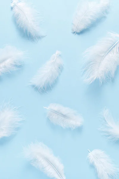 Soft, fluffy white feathers on pastel blue background. Minimalism style.