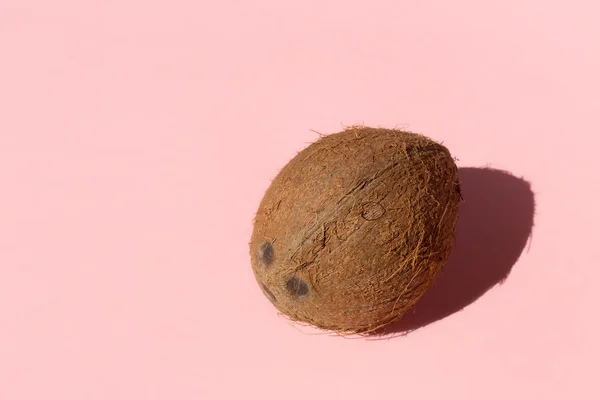 明るいピンクの背景のココナッツ。最小限のスタイル — ストック写真