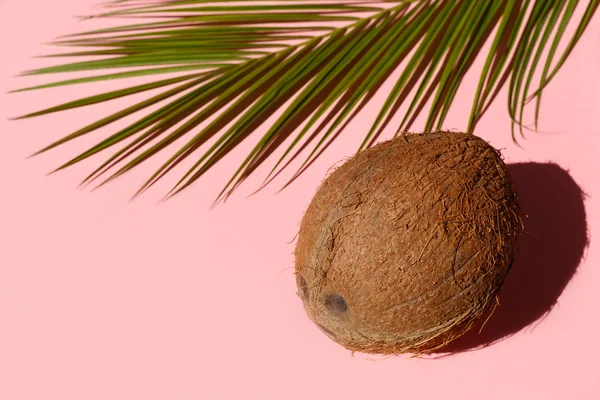 Hindistan cevizi ve palmiye ağacı yaprağına pembe yakın çekim. En az kavramı