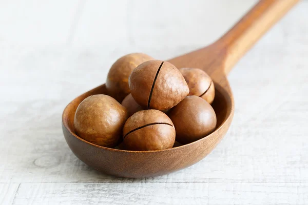 Macadamia nuts in a wooden spoon on a light background — Stock Photo, Image