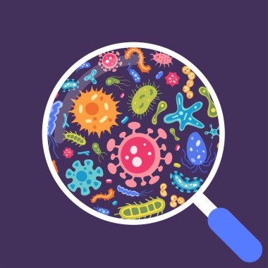Büyüteçteki düz virüs ve mikrop örneklerinin vektör koleksiyonu. Bakteri simgesi ayarlandı. Renkli çizgi film amipler ve basiller. Güzel bir mikroorganizma koleksiyonu. Petri kabı konsepti.