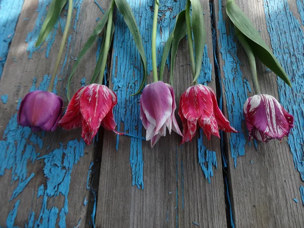Цветные тюльпаны на старом деревянном фоне — стоковое фото