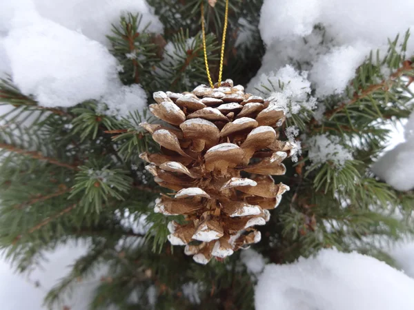 Bosse décorative sur l'épinette recouverte de neige — Photo