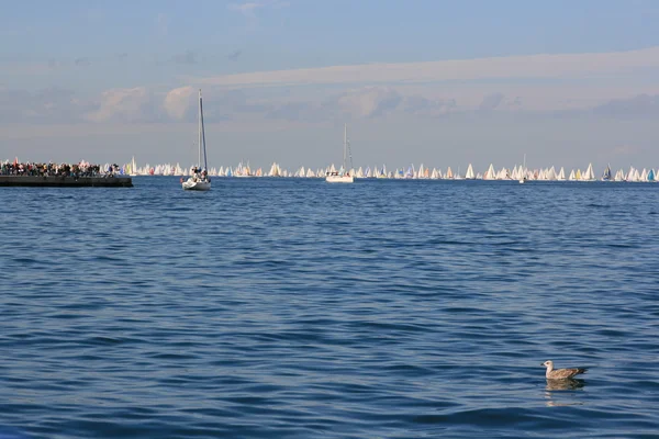 Regata de Barcolana — Foto de Stock