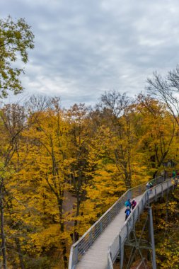 Hainich Ulusal Parkı 'nda sonbahar atmosferi - Thüringen / Almanya