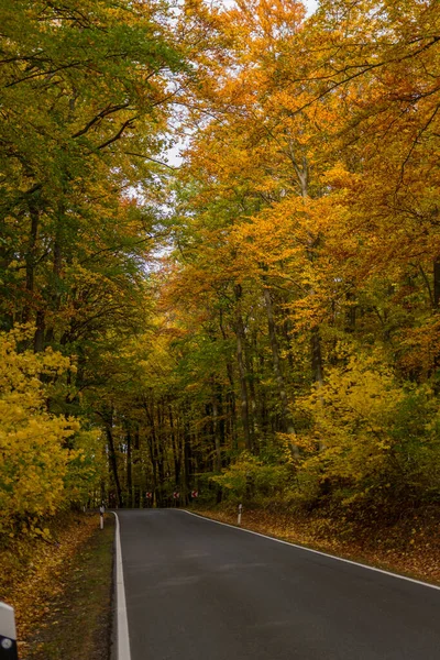 Podzimní Atmosféra Národním Parku Hainich Durynsko Německo — Stock fotografie