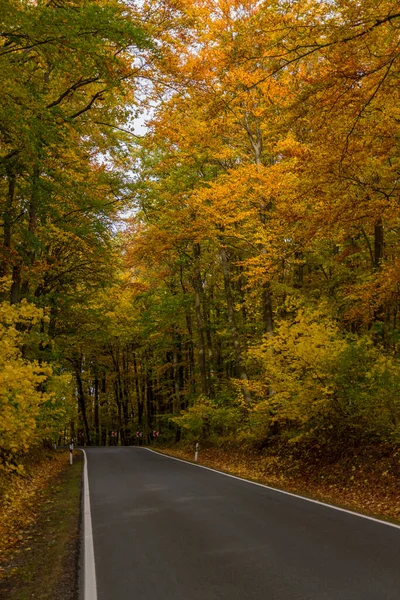 Осенняя Атмосфера Национальном Парке Хайнич Тюрингия Германия — стоковое фото