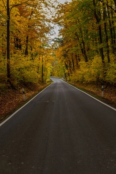 Autumn Atmosphere Hainich National Park Thuringia Germany — Stock Photo, Image