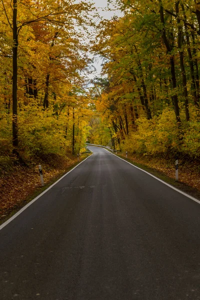 Jesienna Atmosfera Parku Narodowym Hainich Turyngia Niemcy — Zdjęcie stockowe