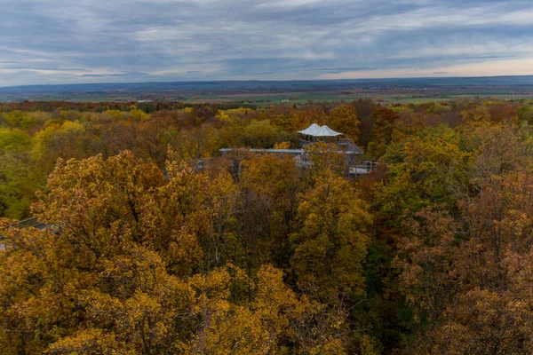 Höststämning Hainich Nationalpark Thüringen Tyskland — Stockfoto