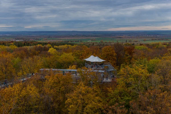 Höststämning Hainich Nationalpark Thüringen Tyskland — Stockfoto