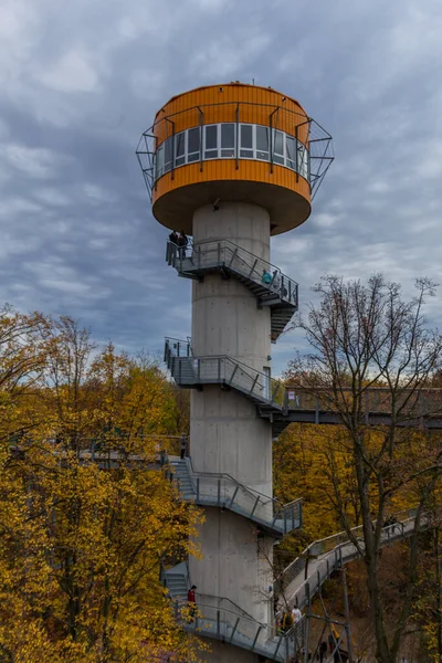 Herbststimmung Nationalpark Hainich Thüringen — Stockfoto