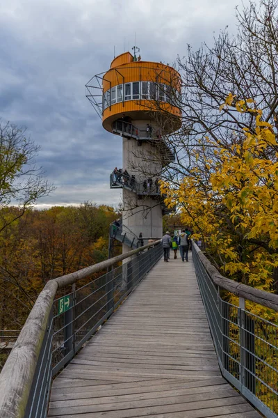 Ambiente Otoñal Parque Nacional Hainich Turingia Alemania —  Fotos de Stock