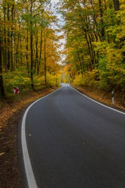 Hainich Ulusal Parkı 'nda sonbahar atmosferi - Thüringen / Almanya
