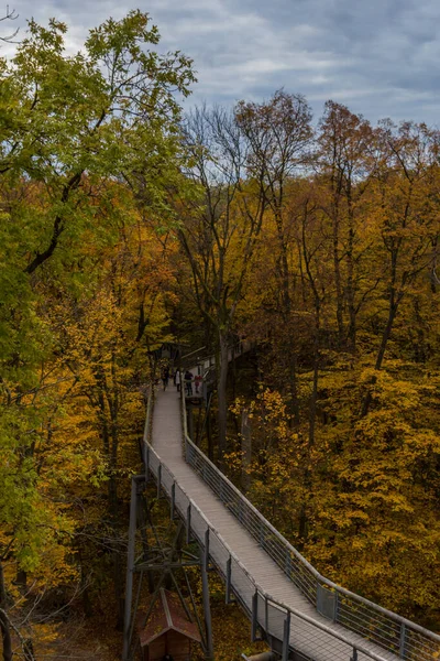 Herbststimmung Nationalpark Hainich Thüringen — Stockfoto