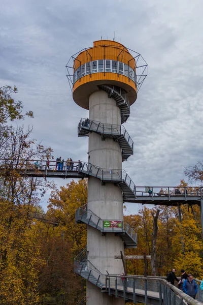 Atmosfera Outono Parque Nacional Hainich Turíngia Alemanha — Fotografia de Stock