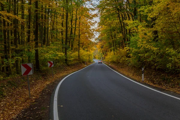 Autumn Atmosphere Hainich National Park Thuringia Germany — Stock Photo, Image