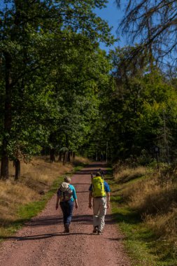 Eisenach yakınlarındaki Thüringen Ormanı 'ndaki güzel Wartburg Kalesi' nde sonbahar yürüyüşü - Thüringen / Almanya