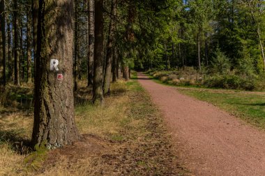 Eisenach yakınlarındaki Thüringen Ormanı 'ndaki güzel Wartburg Kalesi' nde sonbahar yürüyüşü - Thüringen / Almanya