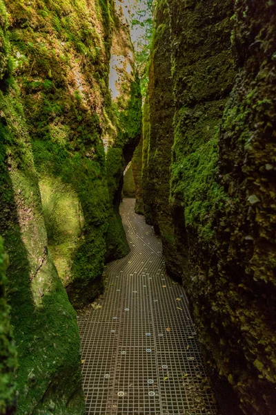Passeggiata Autunnale Intorno Bellissimo Castello Wartburg Nella Foresta Della Turingia — Foto Stock