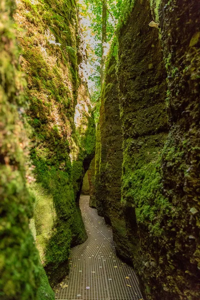 Hösten Promenad Runt Den Vackra Wartburg Slott Thüringen Skogen Nära — Stockfoto