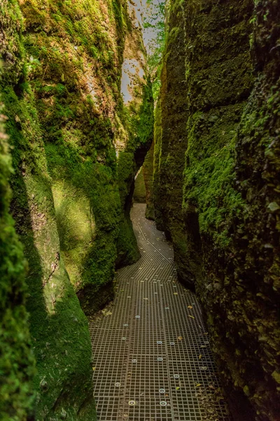 Hösten Promenad Runt Den Vackra Wartburg Slott Thüringen Skogen Nära — Stockfoto