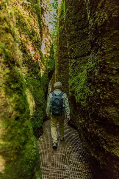 Herbstwanderung Rund Die Wunderschöne Wartburg Thüringer Wald Bei Eisenach Thüringen — Stockfoto