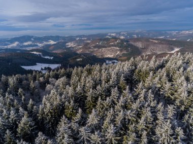 Thueringer Wald / Almanya 'nın Thueringer Ormanı boyunca farklı yerlerde kış yürüyüşü