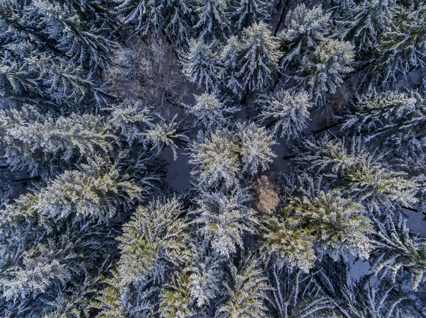 Escursioni Invernali Luoghi Diversi Attraverso Foresta Della Turingia Thueringer Wald — Foto Stock