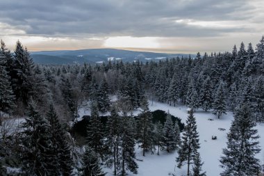 Thüringen Ormanı boyunca farklı yerlerde yürüyüş - Almanya