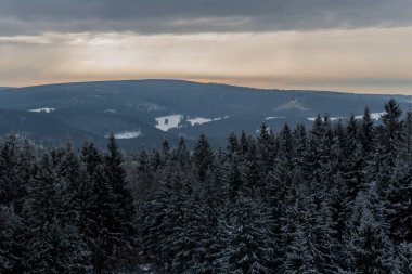 Thüringen Ormanı boyunca farklı yerlerde yürüyüş - Almanya