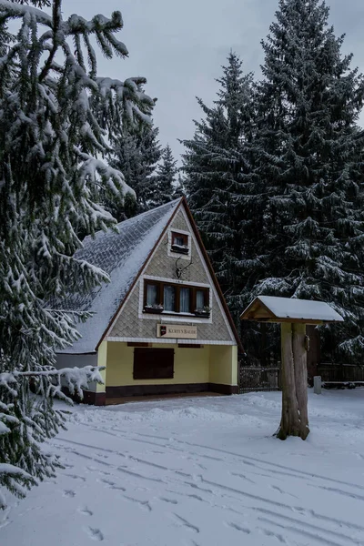 Hiking Different Places Thuringian Forest Germany — Stock Photo, Image