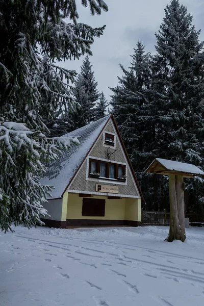 Senderismo Diferentes Lugares Través Del Bosque Turingia Alemania — Foto de Stock