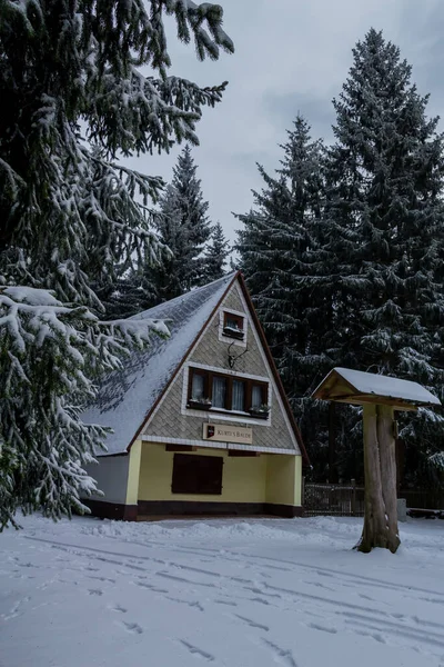 Senderismo Diferentes Lugares Través Del Bosque Turingia Alemania — Foto de Stock