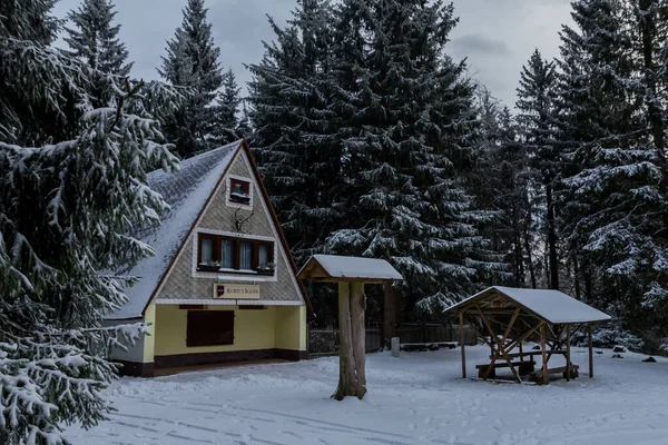 Wandern Verschiedenen Orten Durch Den Thüringer Wald Deutschland — Stockfoto