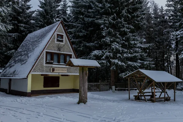 Randonnées Pédestres Dans Différents Endroits Travers Forêt Thuringe Allemagne — Photo