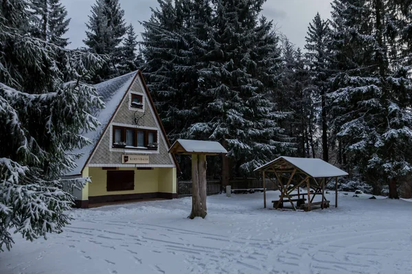 Senderismo Diferentes Lugares Través Del Bosque Turingia Alemania — Foto de Stock