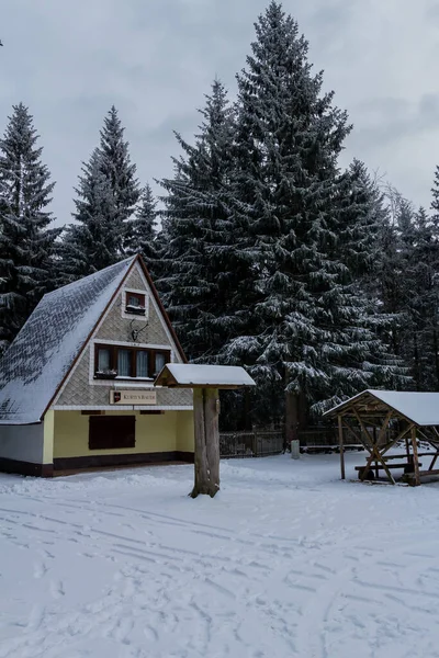 Escursioni Luoghi Diversi Attraverso Foresta Turingia Germania — Foto Stock