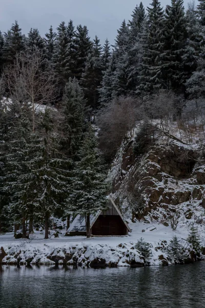 テューリンゲンの森の中をさまざまな場所でハイキング ドイツ — ストック写真