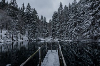Thüringen Ormanı boyunca farklı yerlerde kış yürüyüşü - Almanya
