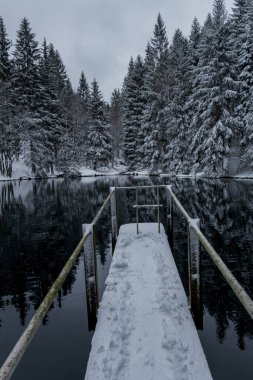 Thüringen Ormanı boyunca farklı yerlerde kış yürüyüşü - Almanya