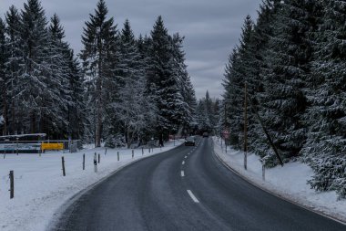 Thüringen Ormanı boyunca farklı yerlerde kış yürüyüşü - Almanya